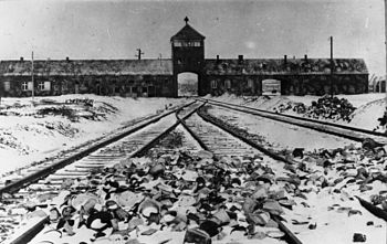 Фото: Освенцим