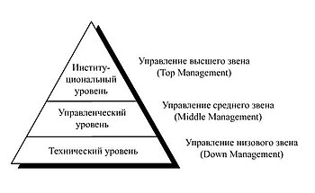 Фото: пирамида управления